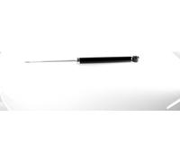 2x Gas Shock Absorber Rear Right=Left GH-332227