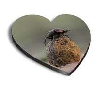 1x Heart MDF Magnet 6cm - Dung Beetle Insect Biology - Fridge Locker Office Whiteboard Toolbox #50790