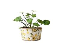 1x Lemon Pattern Plant Pot, Rustic Stoneware Lemon Pot, Weathered White Plant Pots, Succulent Planter, Lemon & Green Leaves Mediteranean Style Plant Pot Covers, Pottery Planter (Dish Medium)