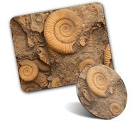 1x Mouse Mat & 1x Round Wooden Cork Coaster Ammonite Fossils Archeology History Matching Set of Mouse Pad & Placemat for Coffee Tea Drinks Kitchen #50088
