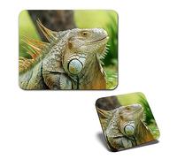 1x Mouse Mat & 1x Square Wooden Cork Coaster America Green Iguana Lizard Reptile Matching Set of Mouse Pad & Placemat for Coffee Tea Drinks Kitchen #50081