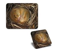 1x Mouse Mat & 1x Square Wooden Cork Coaster Sleeping Dormouse Cute Mouse Wild Nature Matching Set of Mouse Pad & Placemat for Coffee Tea Drinks Kitchen #53423
