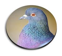 1x Round MDF Magnet 6cm - Common Feral Pigeon Rock Dove - Fridge Locker Office Whiteboard Toolbox #63064