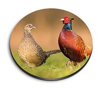 1x Round MDF Magnet 6cm - Common Pheasant Bird Couple - Fridge Locker Office Whiteboard Toolbox #52730