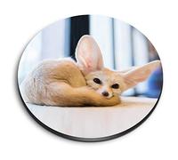 1x Round MDF Magnet 6cm - Pretty Big Eared Fennec Fox - Fridge Locker Office Whiteboard Toolbox #51781