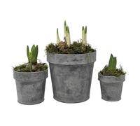 1x Round Zinc Planter - 3 Sizes, Rustic Grey Metal Plant Pot Tub, Kew Gardens Metal Plant Pot, Outdoor Garden Metal Tub, Garden Planter, Kew Gardens Zinc Metal Pot with Rim (Medium)