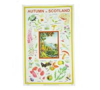 1x Scottish Cotton Tea Towel pack - 48x76 cm - Autumn Design - Traditional Scotland Heritage Tea towels for Kitchen - Mothers Day, Burns Supper, Christmas, Special occasions