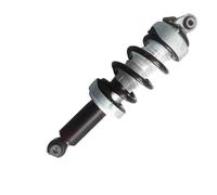1x Shock Absorber Assy For R8 09-15 420412019q 420412020aj /020q 420512019s 420512019am 420512020al 420412019aj Air Spring Shock Absorber(Rear Left)