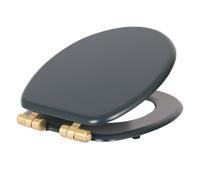 1x Soft Close Toilet Seat Blue/Gold Durable Oval Shape WC Lid
