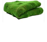 1x1m Artificial Grass Mat - Green Moss Wall Décor for Garden Patio & Terrace - Premium Synthetic Turf for Indoor & Outdoor Det DIY Home Improvement