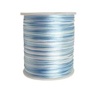 2.0mm x 100 Yards Segment Dyed Nylon Cord Satin Beading String for Macrame Friendship Bracelets Chinese Knotting,Necklaces,Jewelry Making（Light Blue）