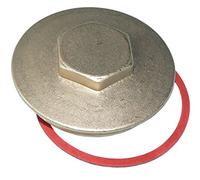 2.1/4" Brass Immersion Heater Plug & Washer