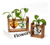 2+1 Plant Terrarium Plant Propagation Station Birthday Gifts for Women Plant Lovers Home Office Decor with Wooden Stand