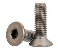 2-10 pcs Titanium Screw DIN7991 M2 M2.5 M3 M4 M5 M6 M8 M10 TA2 GR2 Titanium Hexagon Flat Countersunk Allen Screw(55MM_M2.5 10PCS)