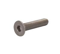 2/10Pcs M2 .5 M3 M4 M5 M6 M8 TA2 Titanium Gr2 Hexagon Socket Countersunk Bolt Screw(20mm,10pcs M3)
