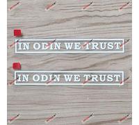 (2) 15.2cm White in Odin We Trust Word Decal Sticker Norse Viking sda3