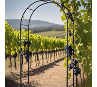 2.2/2.3m Metal Garden Arch Trellis for Climbing Plants - Sturdy Pergola Arbor for Indoor & Outdoor Use, Perfect for Weddings, Lawn & Backyard Decor (Black, 240W x 220H cm)