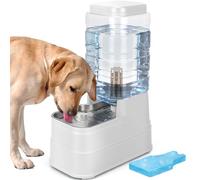 2.2 Gallon Pet Automatic Dog Water Dispenser Cat Gravity Waterer Feeder with Stainless Steel Bowl Large Capacity Puppy Feeding Raised Bowls with Filter,Ice Pack (White, 8L(2.2 Gallon))