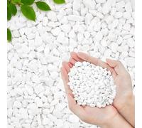 2.2 LB White Pea Gravel Pebbles for Plants, 6-9mmCover Gravel for Succulents and Cactus Natural Polished Pebbles for Vases, Aquarium, Bonsai, Bamboo, Hydroponics, Home Dcoration