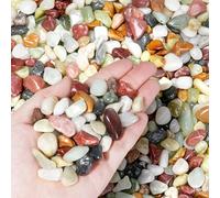 2.2 lbs Succulent Rocks,1/2 Inch Pebbles for Plants,Pebbles for Indoor Plants,Suitable for Vases, Cactus Potted Plants, Fish Tanks,Fountain