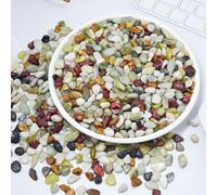 2.2 pounds Natural Jade Pea Gravel Pebbles for Plants,6-9mm Cover Gravel for Succulents and Cactus Natural Polished Pebbles for Vases, Aquarium, Bonsai, Bamboo, Hydroponics, Home Dcoration