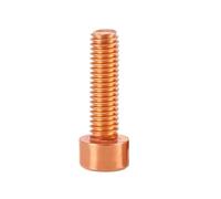 2-20PCS T2 Copper Hex Socket Screw M2 M2.5 M3 M4 M5 Conductive Bolt For Electrical Grounding Battery(20pcs M2x6)