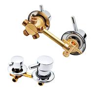 2/3/4/5 Way Water Outlet Thread/Intubation, Distance 10Cm/12.5Cm Brass Mixer Tap Polished Bathroom Shower Faucet Cabin, Double Bracket Control Screw 5 Way 10cm