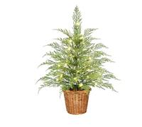 2/3/4FT Christmas Tree Pre Lit Pine Stems Artificial Pine Xmas Tree with LED Lights Twinkle Tree Norfolk Branches with Lights Faux Potted for Tabletop Front Porch Indoor Outdoor Decor (90cm/3ft)