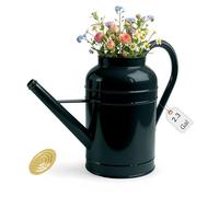 2.3-Gallon Metal Watering Can,8.7L Galvanized Watering Can for Outdoor Plants with Removable Long Golden Spout