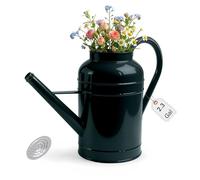 2.3-Gallon Metal Watering Can,8.7L Galvanized Watering Can for Outdoor Plants with Removable Long Silver Spout