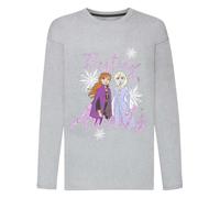 (2-3 Years, Grey) Frozen Girls Destiny Awaits Anna And Elsa Top