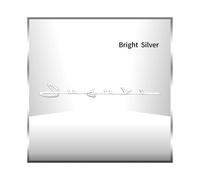 (2) 3D ABS Plastic Chrome Silver/Black Letter Logo Car Fender Side Emblem