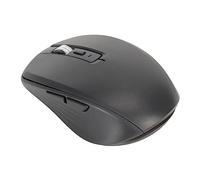 2.4G Wireless Mouse Dual Mode Lightweight Bluetooth Mouse with 14 RGB Effects for Gaming PC and Laptops ABS (Black)
