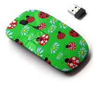 2.4G Wireless Mouse with Cute Pattern Design for All Laptops and Desktops with Nano Receiver - Ladybugs can be