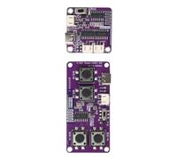 2.4GHz 4 Channel Receiver Module with Long, Arranged up and down