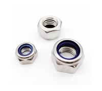 2/5/25pcs M2 M2.5 M3 M4 M5 M6 M8 M10 M12 M16 304 Stainless Steel Black Hex Nylon Insert Lock Nut Self-Locking Nylock Nut Locknut(304 stainless steel,M5 25pcs)