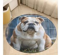 2.5' Coral Velvet Round Area Rug Non Slip Backing Bathroom Rug Water Absorbent Plush 0.2 Inch Low Pile Circle Mat English Bulldogs Carpet for Kitchen Bedroom Entryway Nursery Room Decor