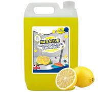 2.5 Litre Lemon Floor Surface Cleaner Interior & Exterior