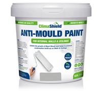 (2.5 Litres, Pale Slate) SmartSeal Anti-Mould Paint - For Bathroom, Kitchen, Bedroom Walls & Ceilings - Protection Against Dangerous Mould