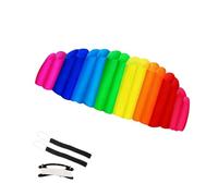 2.5 m, Two-line Mat, Kite for Children and Adults, 2 x 25 m on Winder with Loops, Kite from 8 Years (Multi-Colour)