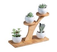 2-5 Tier Indoor Wood Plant Stand, Multi-Plant Shelf Ladder, Modern Plant Pot Display for Living Room, Patio & Balcony, Perfect Gardening Gift & Home Decor