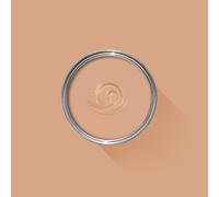 2.5L - Farrow and Ball Paint - Dead Flat - Archived Colours