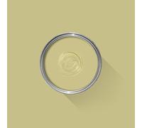FARROW & BALL NEW DEAD FLAT 251 CHURLISH GREEN 2.5L
