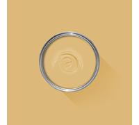 FARROW & BALL NEW DEAD FLAT 69 PRINT ROOM YELLOW 2.5L