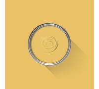 2.5L - Farrow and Ball Paint - Dead Flat - Current Colours