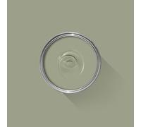 FARROW & BALL NEW DEAD FLAT 19 LICHEN 2.5L