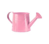 2.5L Litre Small Plastic Watering Can With Long Spout Sprinkler Rose Strong Plastic Heavy Duty Outdoor Indoor Plant Water Pot For Garden Flowers Houseplants Easy Pour Garden Jug (B1)