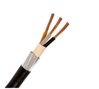 2.5MM 3 CORE SWA ARMOURED CABLE 1 METER 6943X