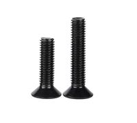 2/5pcs M2 .5 M3 M4 M5 M6 M8 M10 Black 304 Stainless Steel Allen Hexagon Hex Socket Flat Countersunk Head Bolt Screw DIN7991(20mm,2pcs M10)