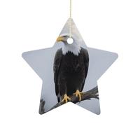 2.7" Christmas Star Ornaments with Hanging Rope, Eagle Full Moon Ornaments Hanging Pendant Vintage Ceramic Xmas Tree Decor for Home, Festive Holiday Party Decorations